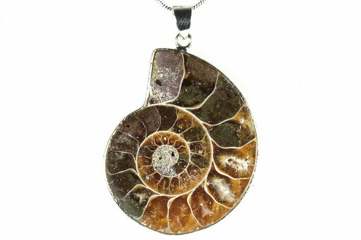 Fossil Ammonite Pendant - Million Years Old #306500